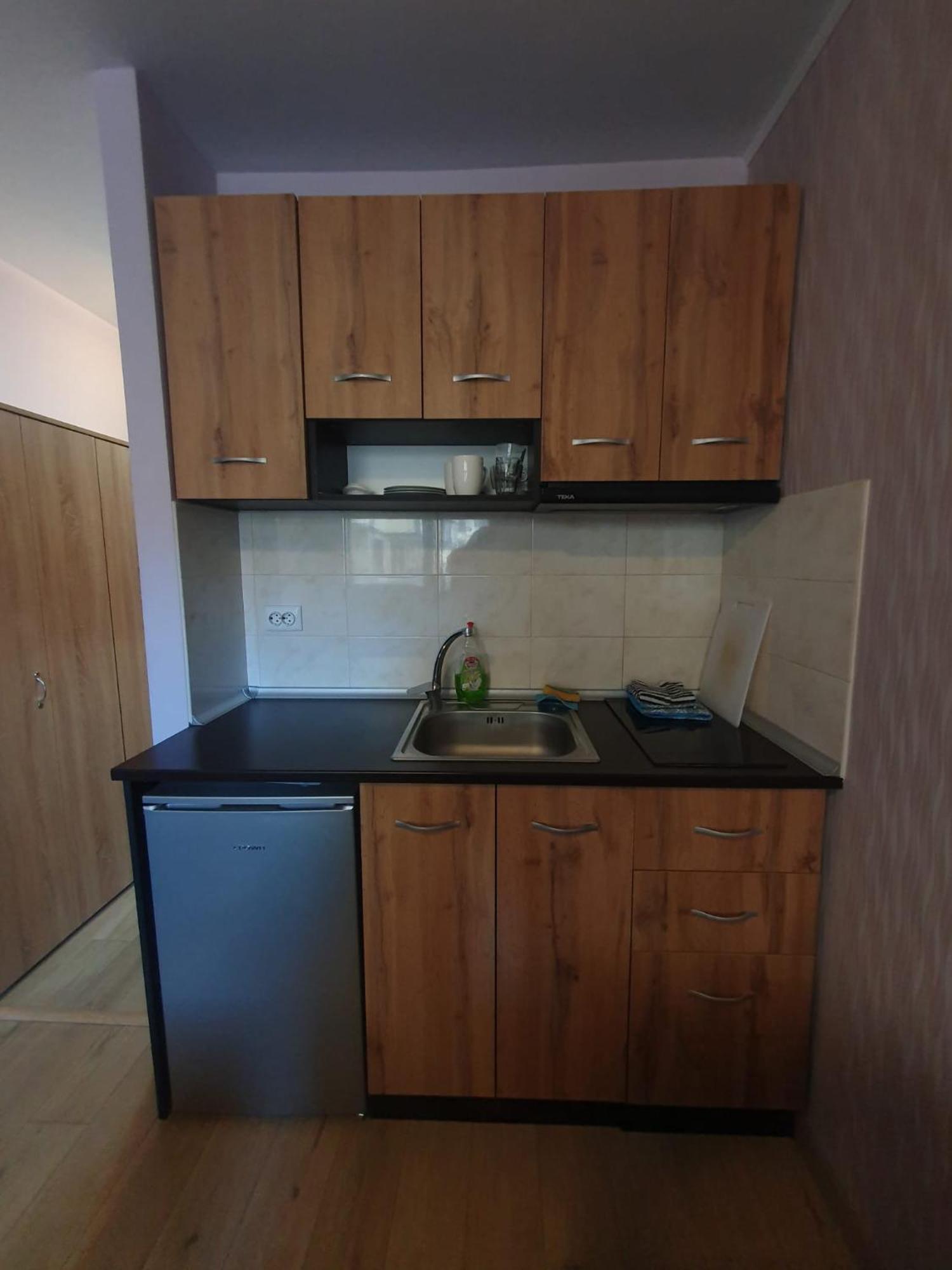 Mechka Ski Apartment Бансько Екстер'єр фото